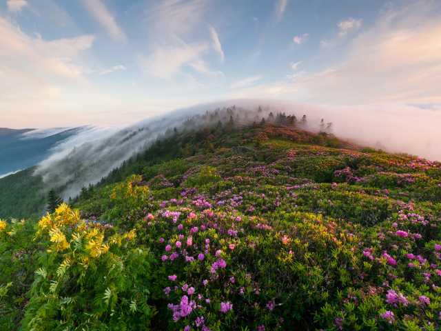 Утренний туман в горах