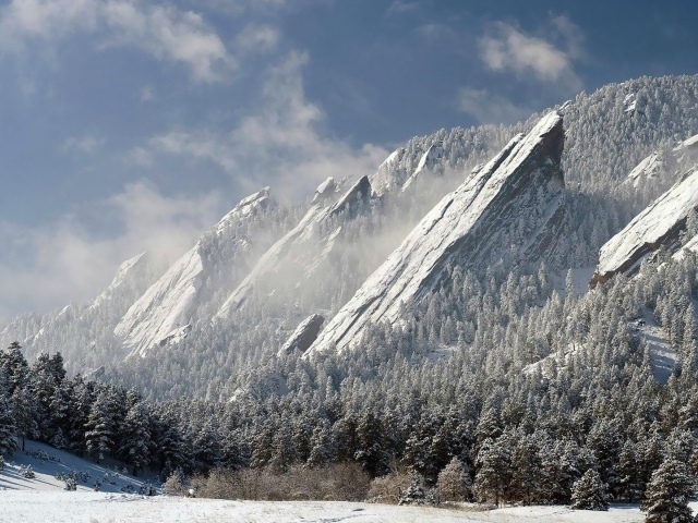 Скалы и деревья
