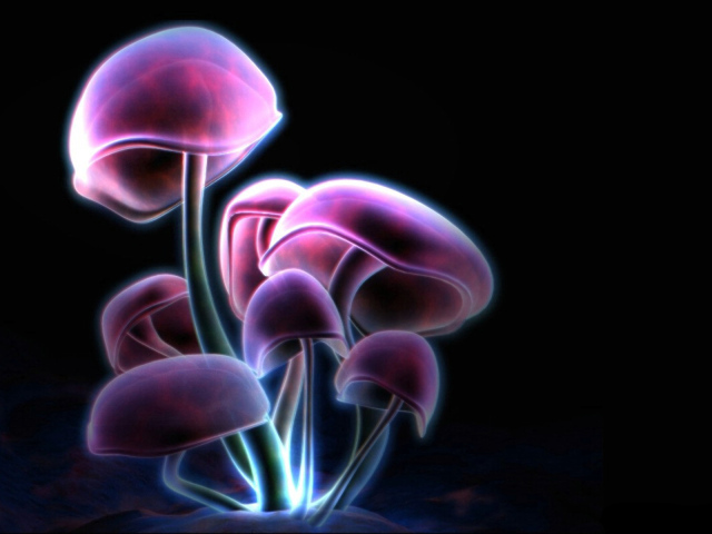 Фиолетовые грибы