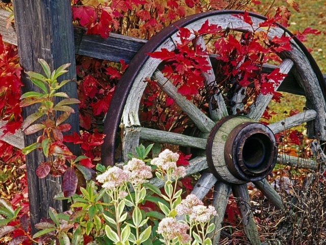 Колесо от старой телеги