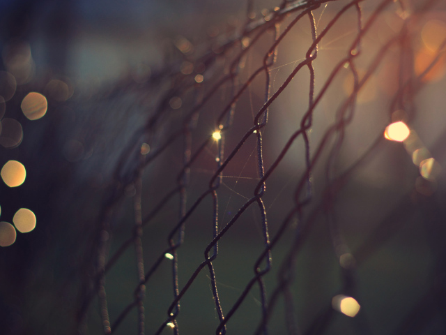 Проволочный забор