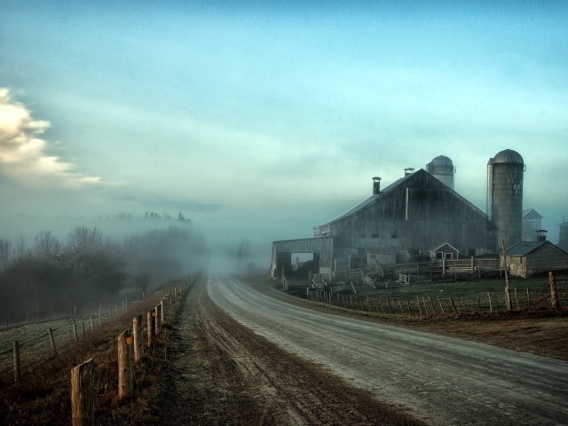 Туман на дороге