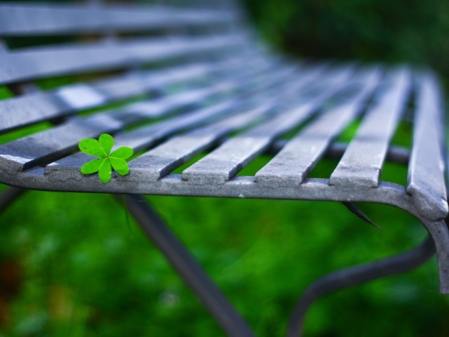 Лист на садовой скамейке