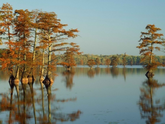 Наводнение на Кипре