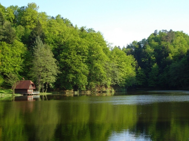 Лесной домик на берегу озера