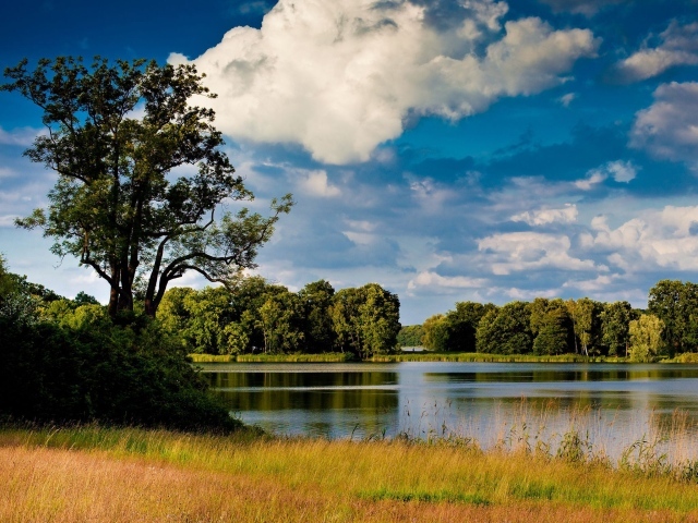 Озеро среди лугов