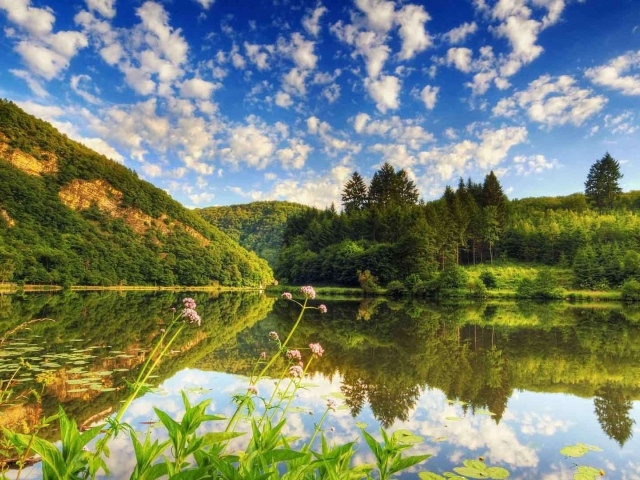 Озеро среди лесистых холмов