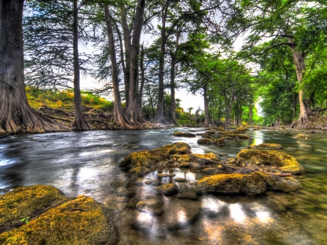 Природа вдоль реки