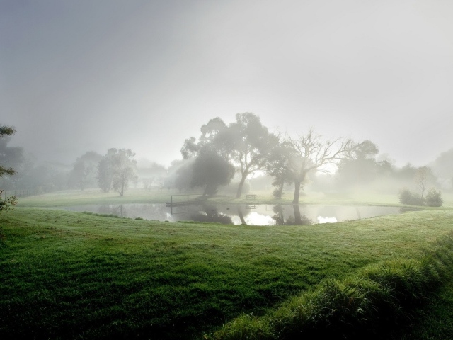 Озеро в тумане