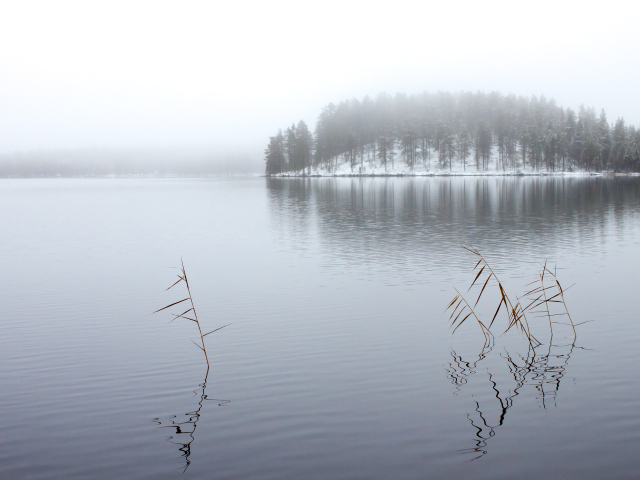 Зимнее озеро в тумане