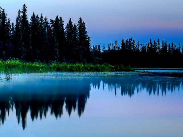 Вечерний туман на озере