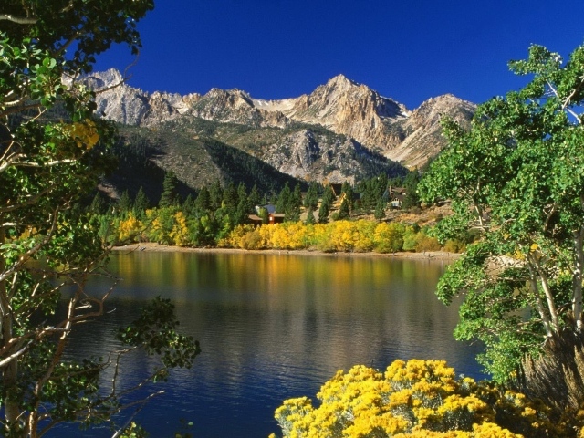 Озеро и деревья