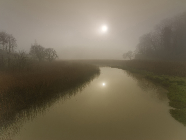 Солнце светит сквозь туман