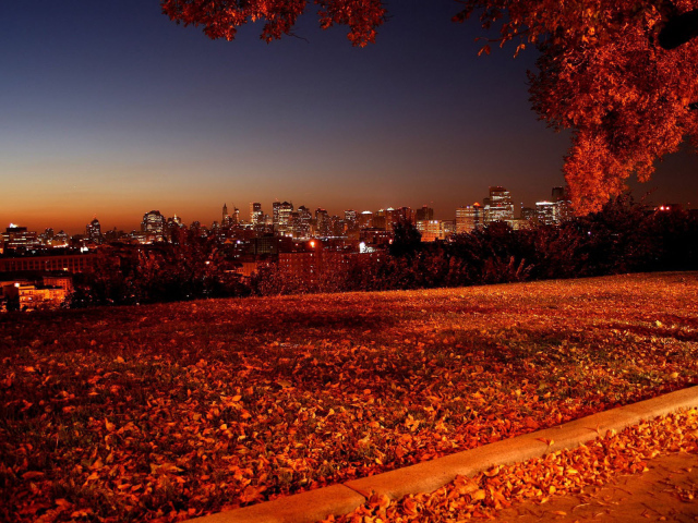 Осенняя ночь в городе