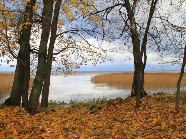 Осень на берегу озера
