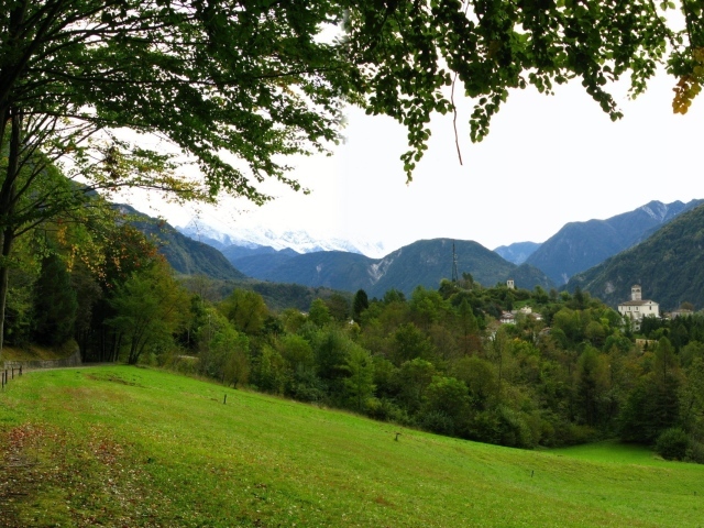 Красивая весенняя поляна