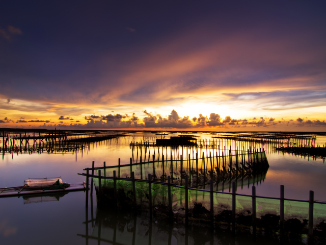 Рыбная ферма летом