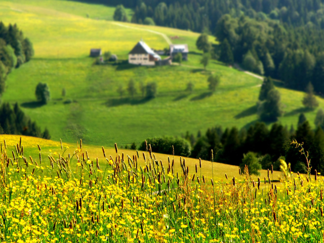 Горная долина летом