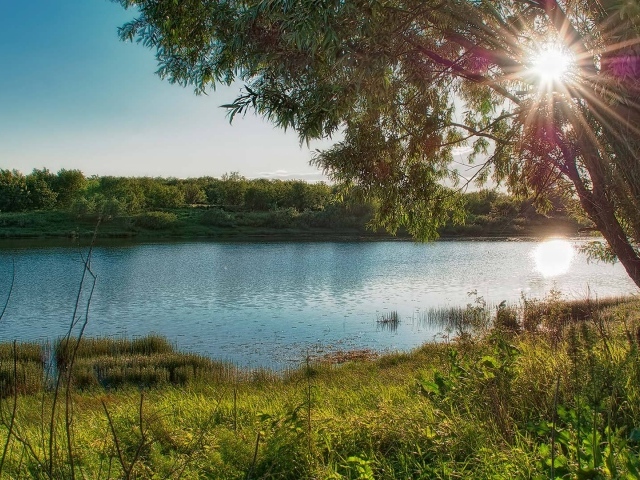На берегу озера летом
