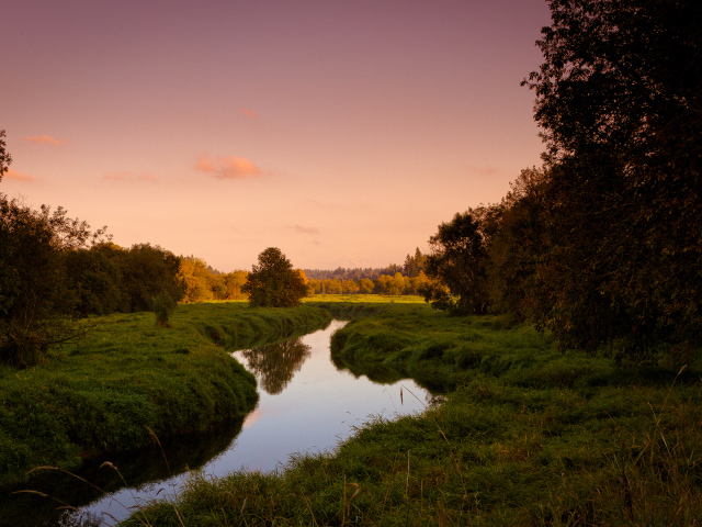 Розовый летний закат