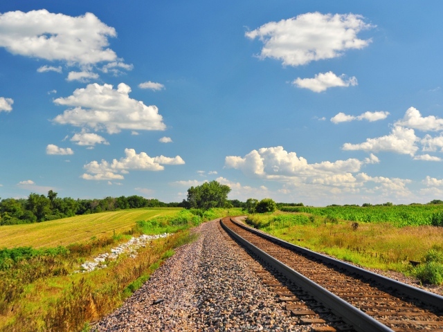 Железная дорога летом