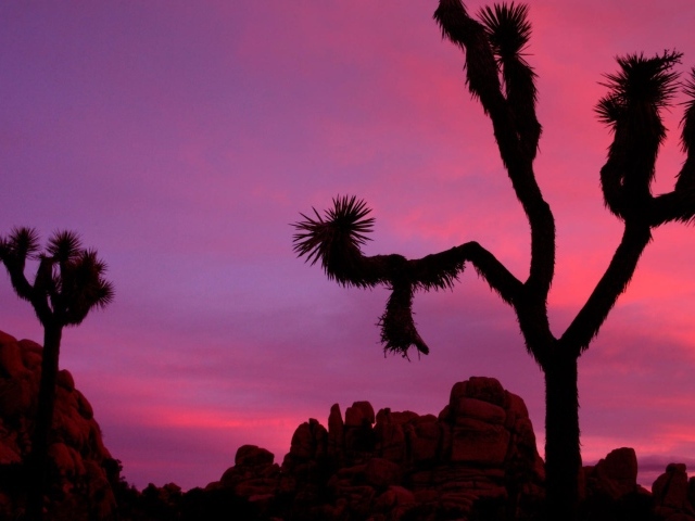 Национальный парк Калифорнии закат солнца