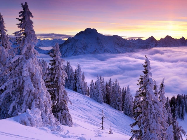 Фиолетовый зимний закат 