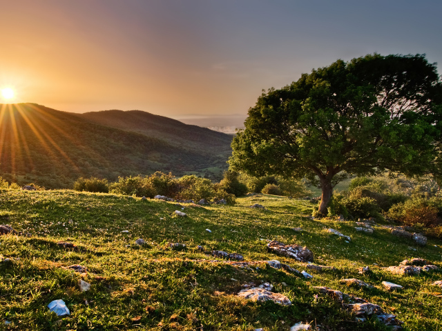 Закат в заповеднике