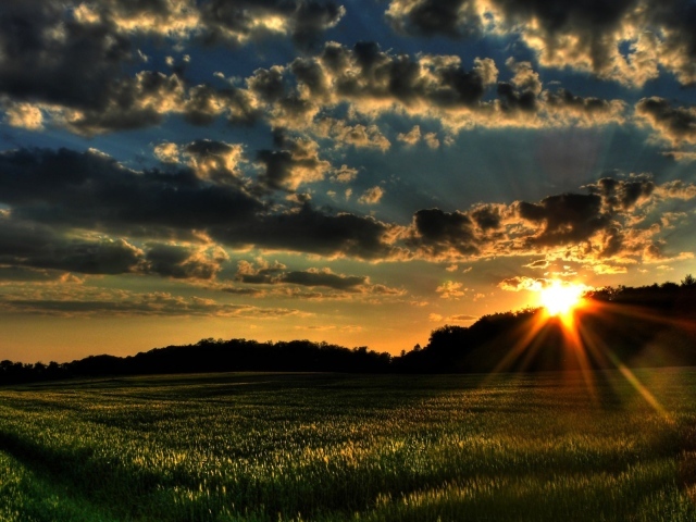 Закат на зеленом поле