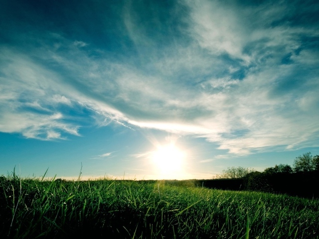 Закат над полем