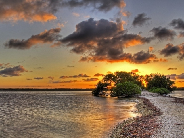 Закат над озером за деревом