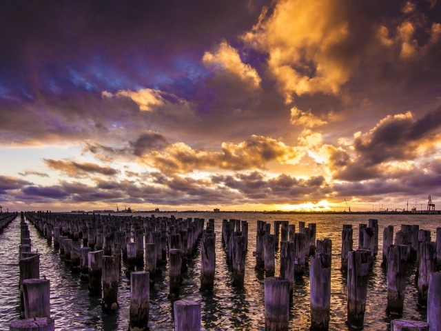 Деревянные сваи в воде