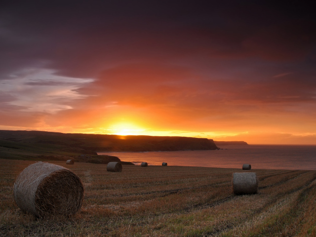 Закат на скошенном поле