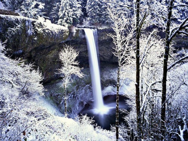 Замерзший водопад в белом лесу