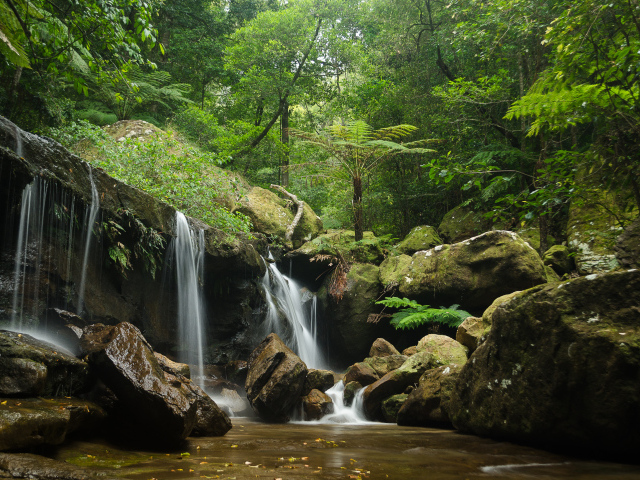Заросли и водопад