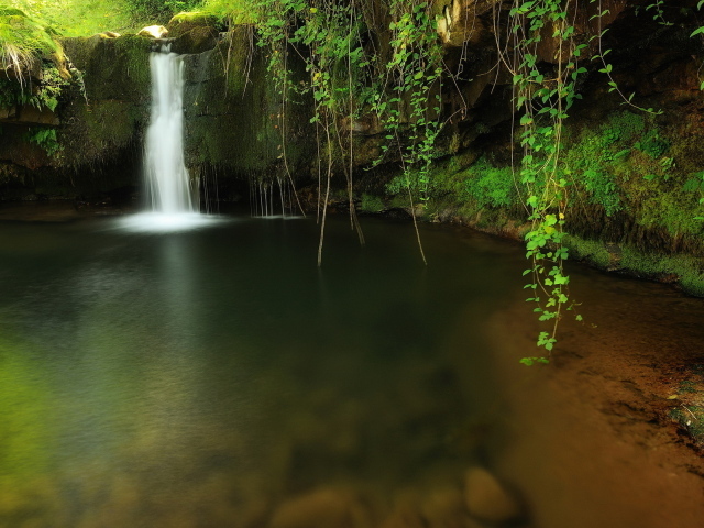 Водопад среди зеленой травы