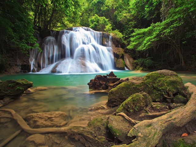 Водопад в густом лесу