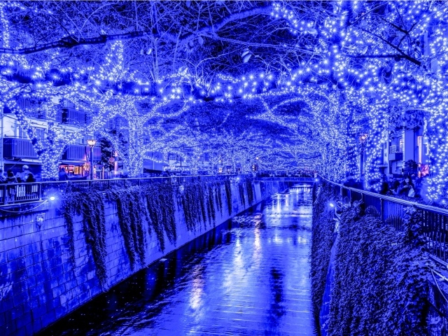 Новогодняя иллюминация в Токио