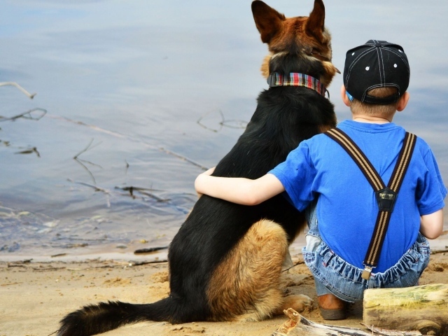 Друзья сидят у воды