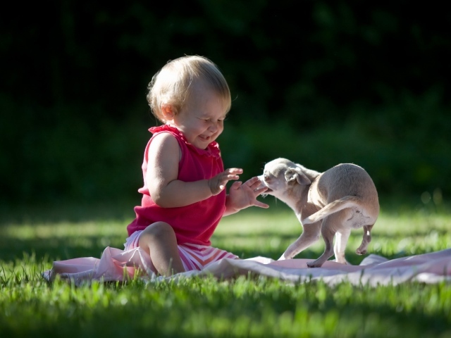 Ребенок играет с собакой