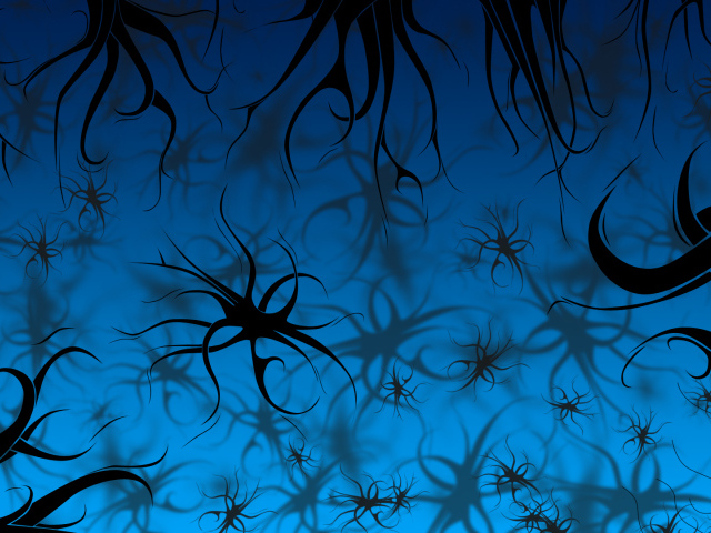 Черные узоры