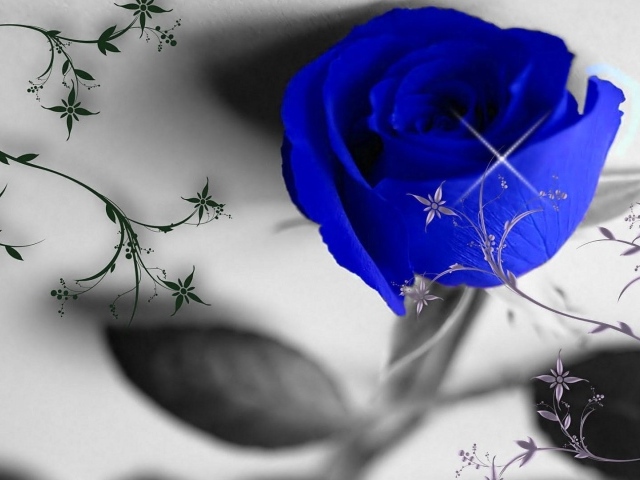 Синяя роза и узоры