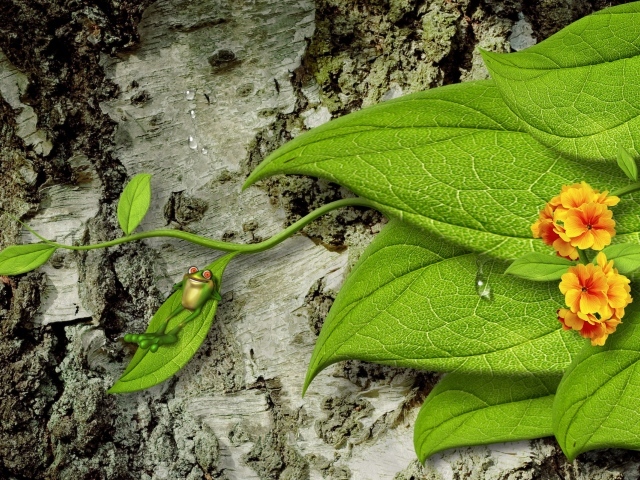 Лягушка на зеленом листе