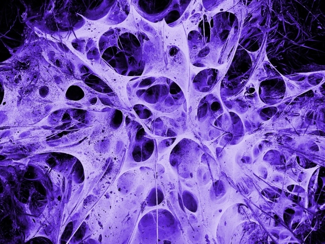 Пористая структура