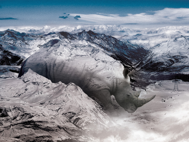 Носорог в горах