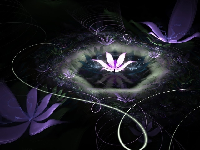 Озеро с цветком