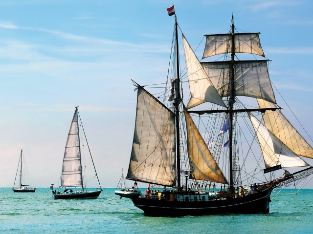 Плеяда парусников в море