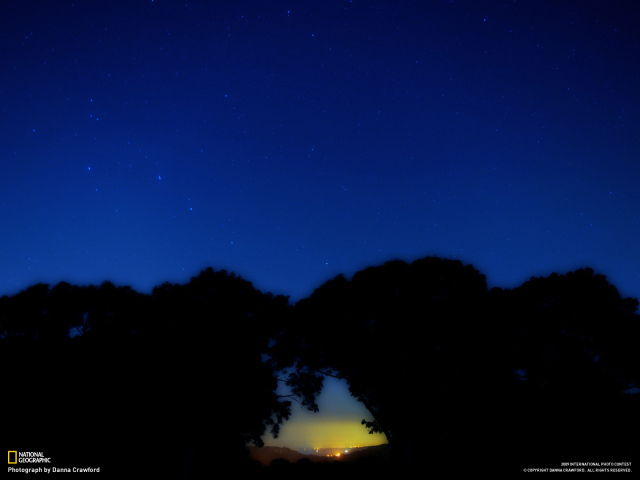 Созвездие Большая медведица