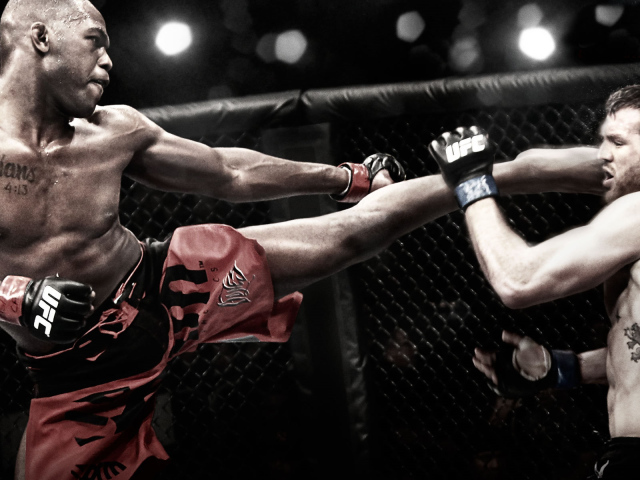 Известный боец Джон Джонс