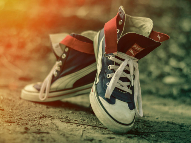 Пара красивых кед